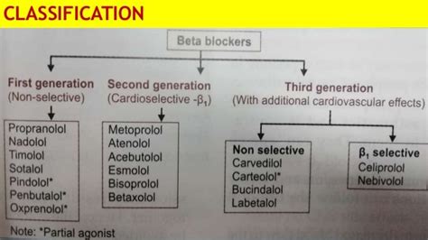 nonselective beta blockers|Beta.